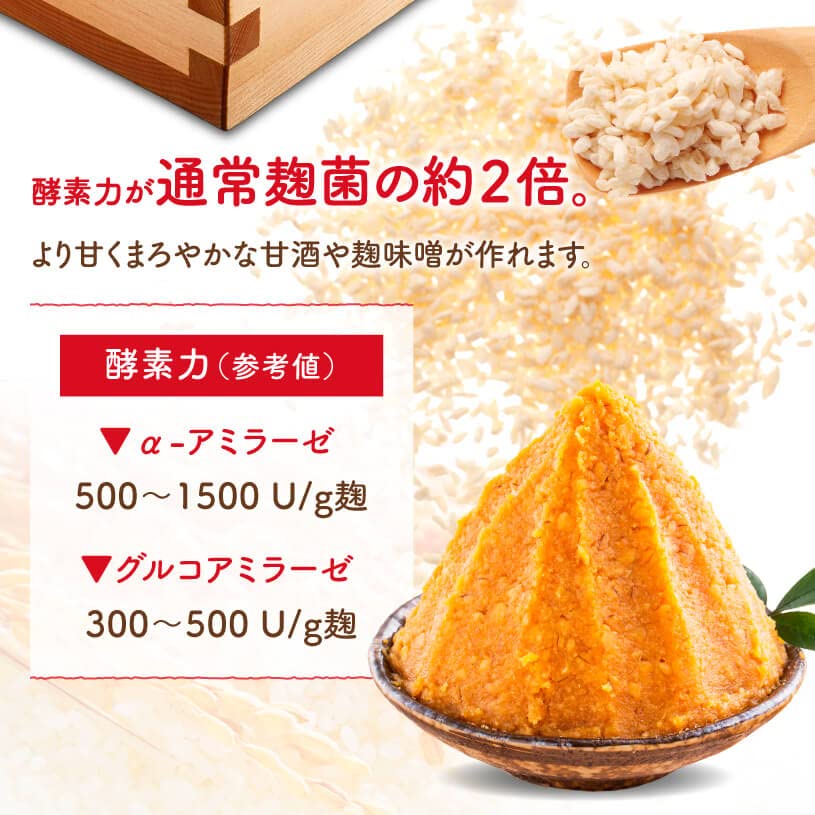 Amazon.co.jp: NICHIGA(ニチガ) 無塩乾燥米麹 あめこうじ (CK33n菌